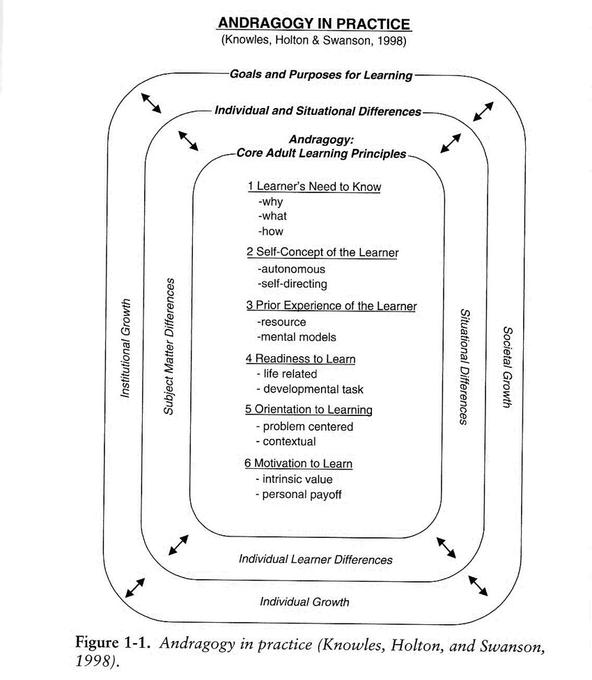 andragogy diagram